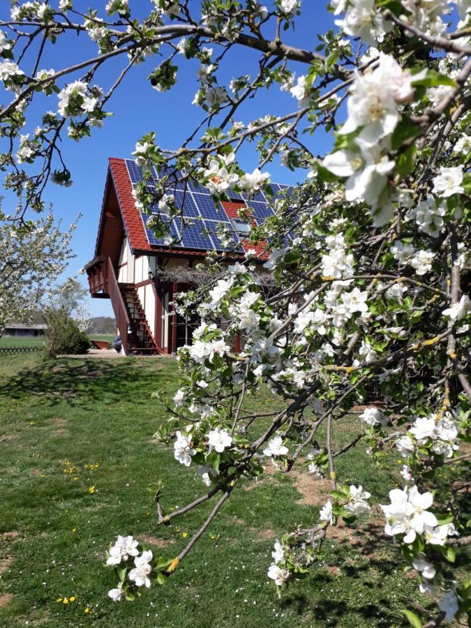Ferienwohnung Zur Saaleaue Wettin Eksteriør bilde